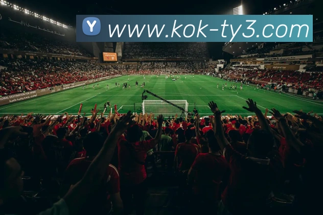 KOK体育APP 封面图